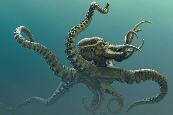 Kraken ссылка актуальная