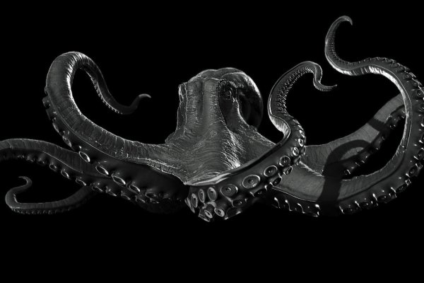 Kraken 15 at