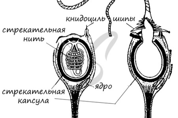 Правильная ссылка на кракен